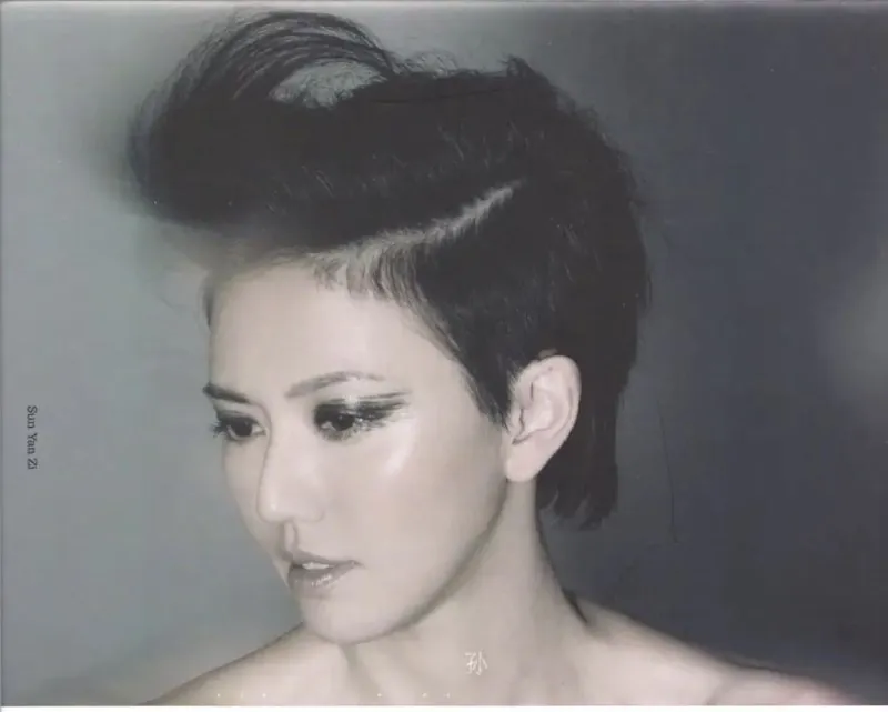 孙燕姿-克卜勒（引进版）wav 音乐