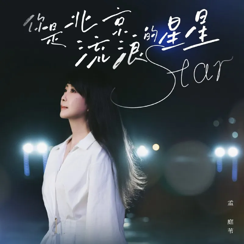 孟庭苇-你是北京流浪的星星-Single 音乐